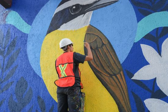 Biocorredor poniente10 Biocorredor poniente10