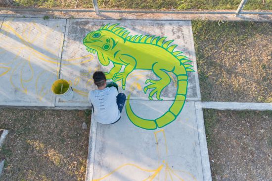 Biocorredor poniente11 Biocorredor poniente11