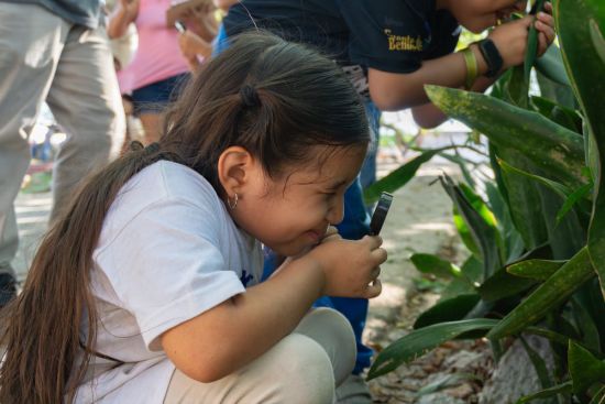 Biocorredor poniente8 Biocorredor poniente8